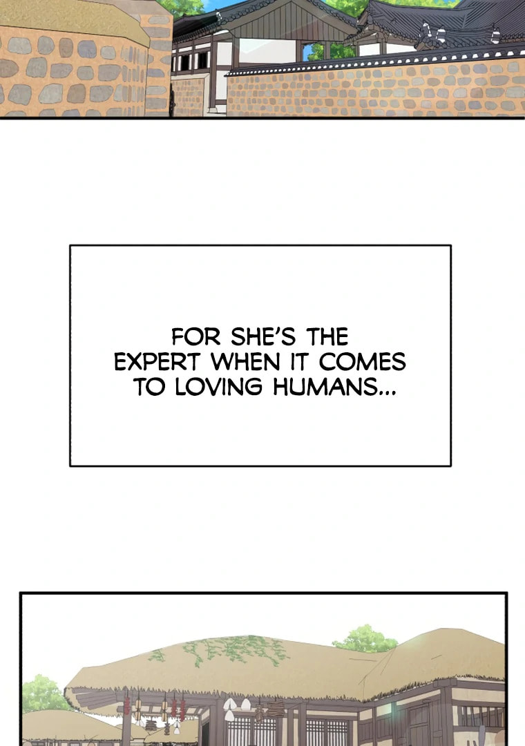 The Tale of a Fox