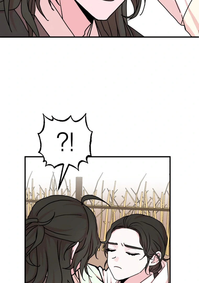The Tale of a Fox