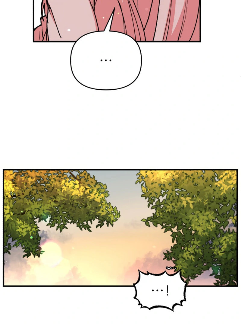 The Tale of a Fox