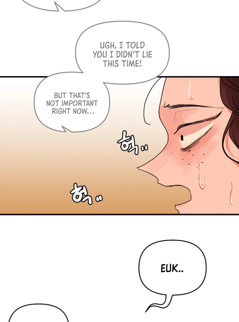 The Tale of a Fox