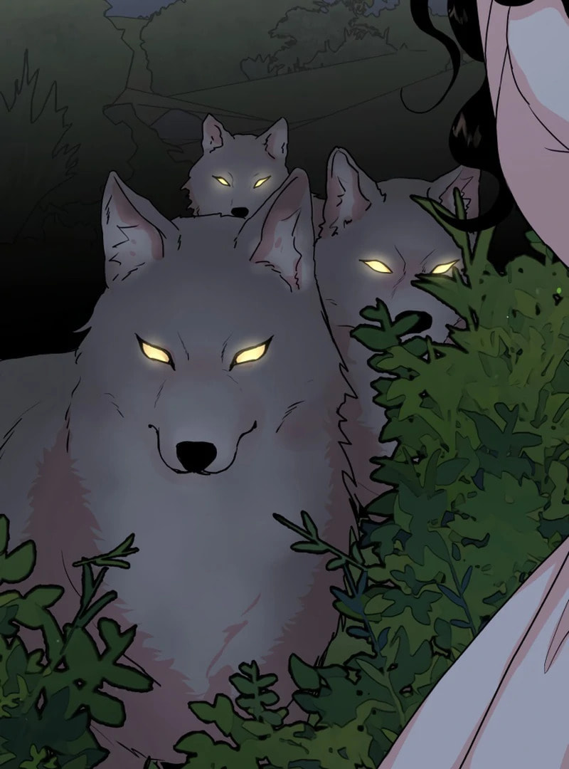 The Tale of a Fox