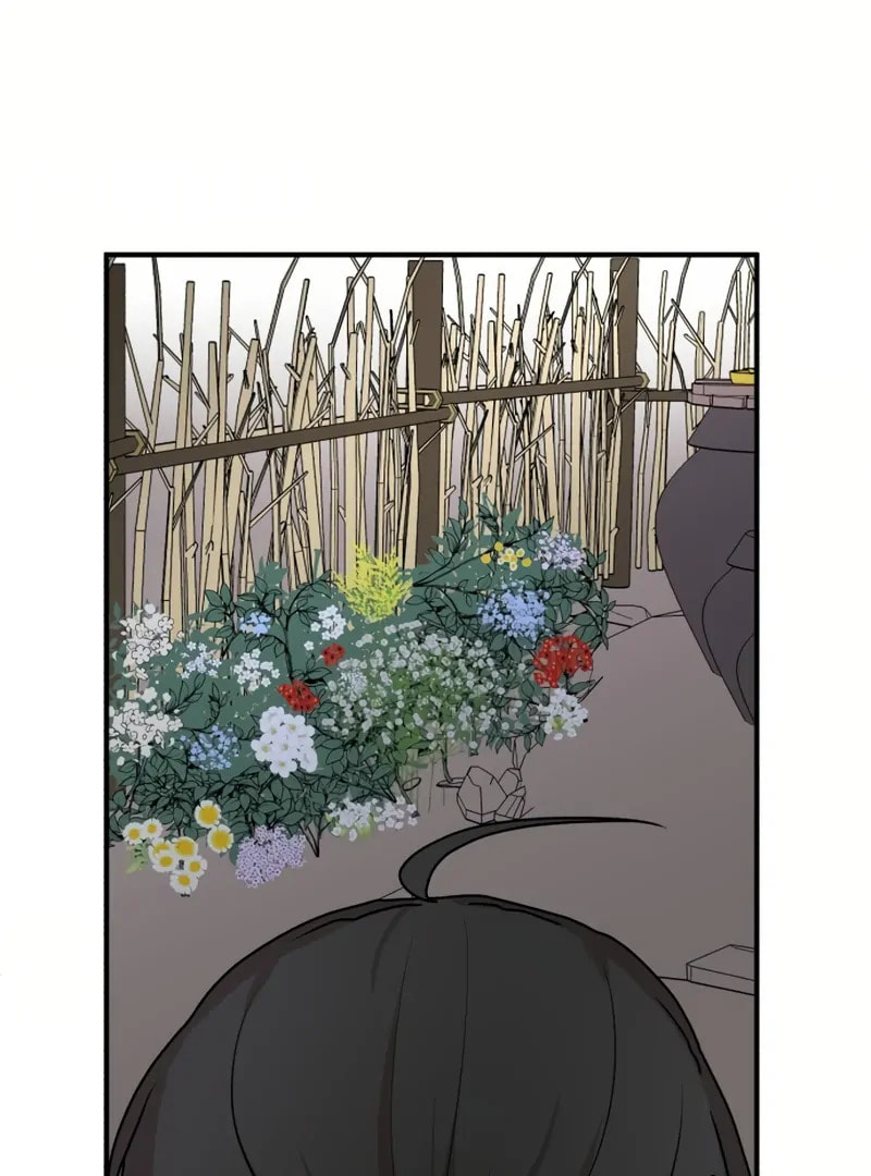 The Tale of a Fox