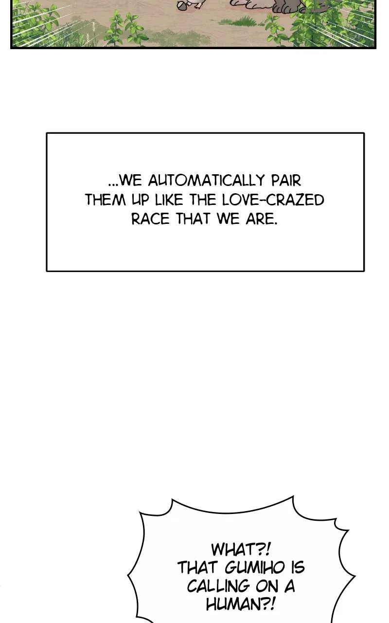 The Tale of a Fox