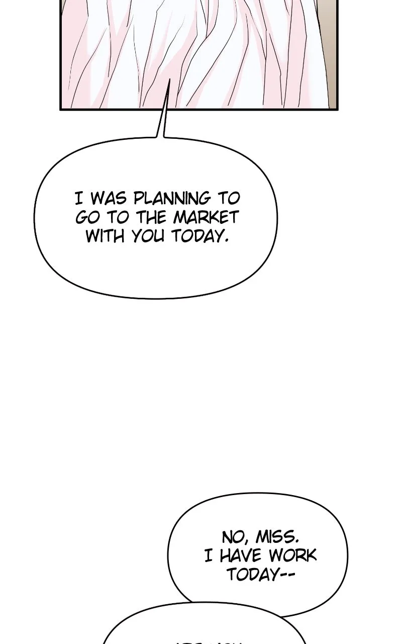 The Tale of a Fox