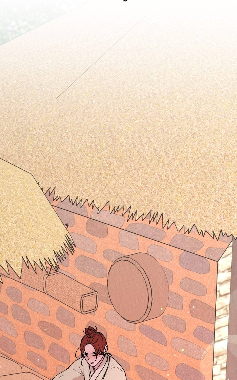 The Tale of a Fox