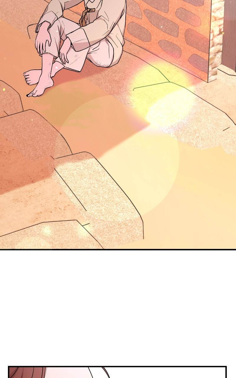 The Tale of a Fox