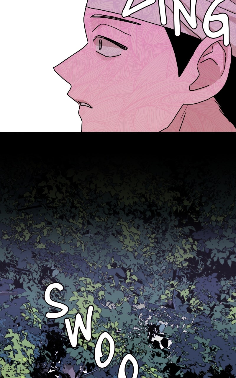 The Tale of a Fox
