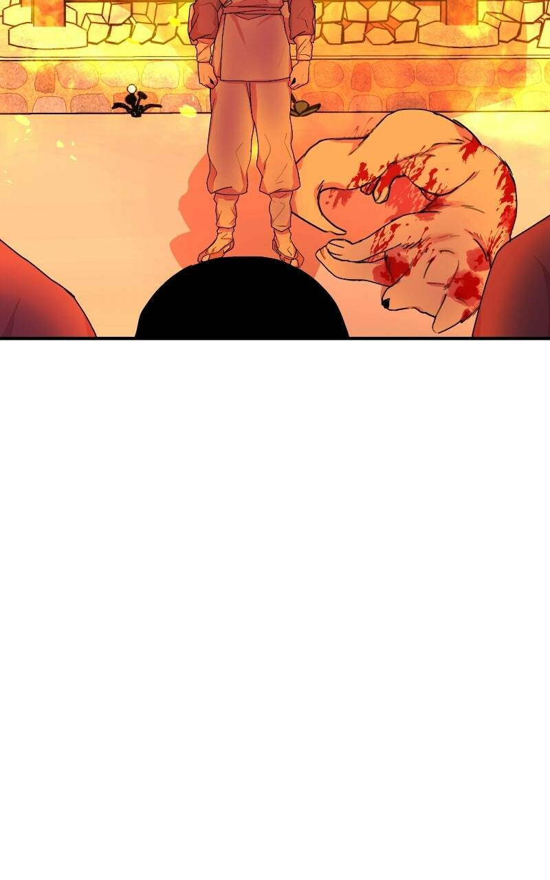 The Tale of a Fox