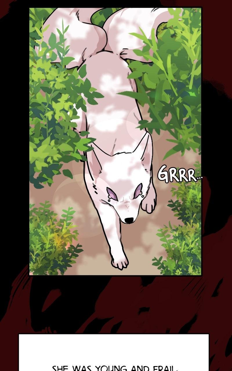 The Tale of a Fox