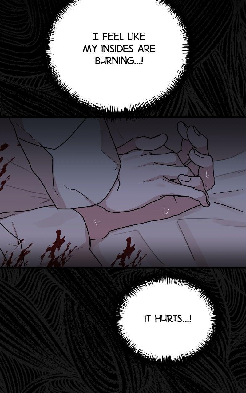 The Tale of a Fox