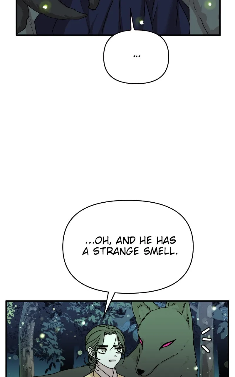 The Tale of a Fox