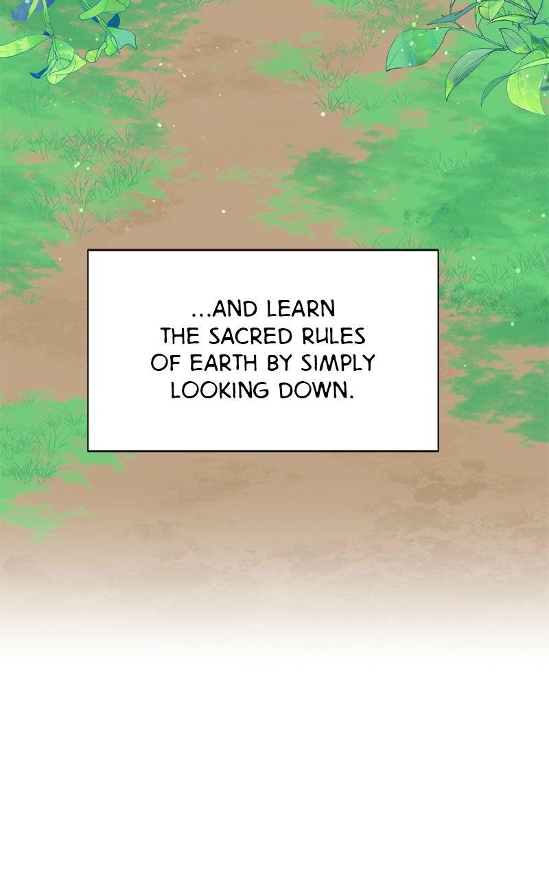 The Tale of a Fox