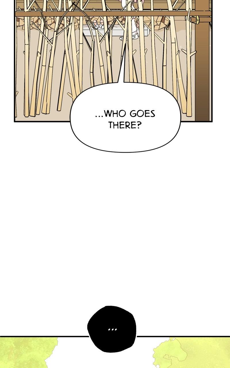 The Tale of a Fox