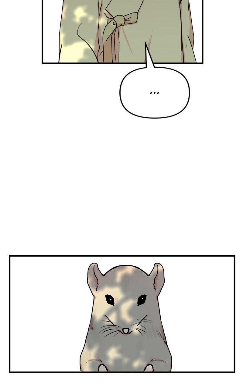 The Tale of a Fox
