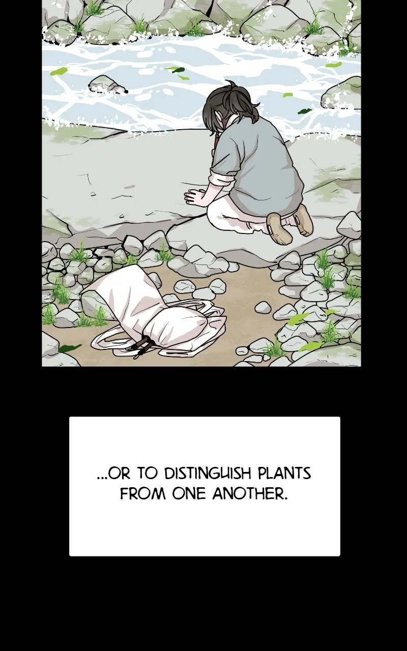 The Tale of a Fox