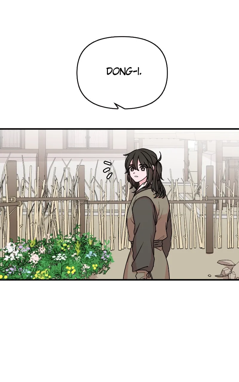 The Tale of a Fox