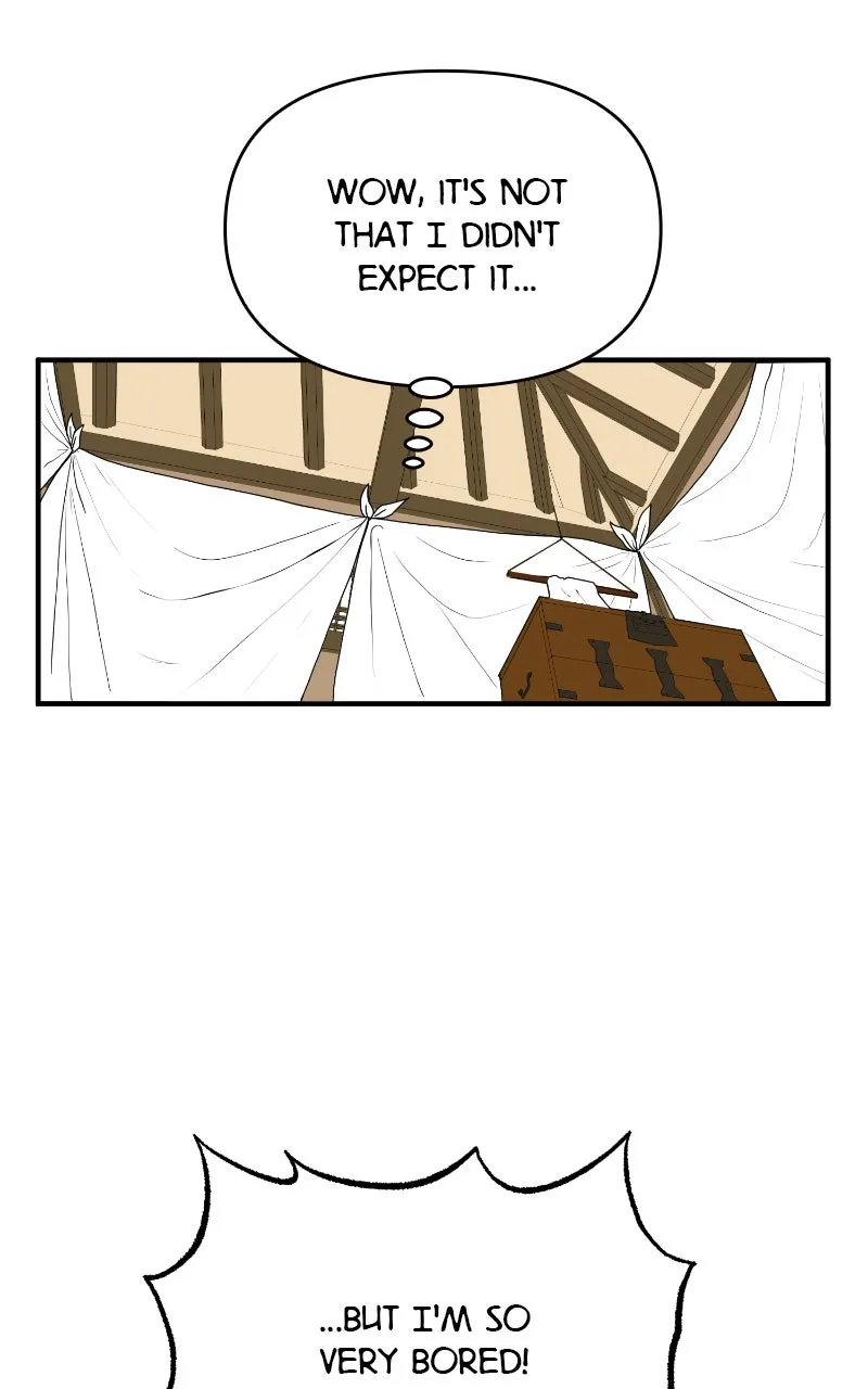 The Tale of a Fox