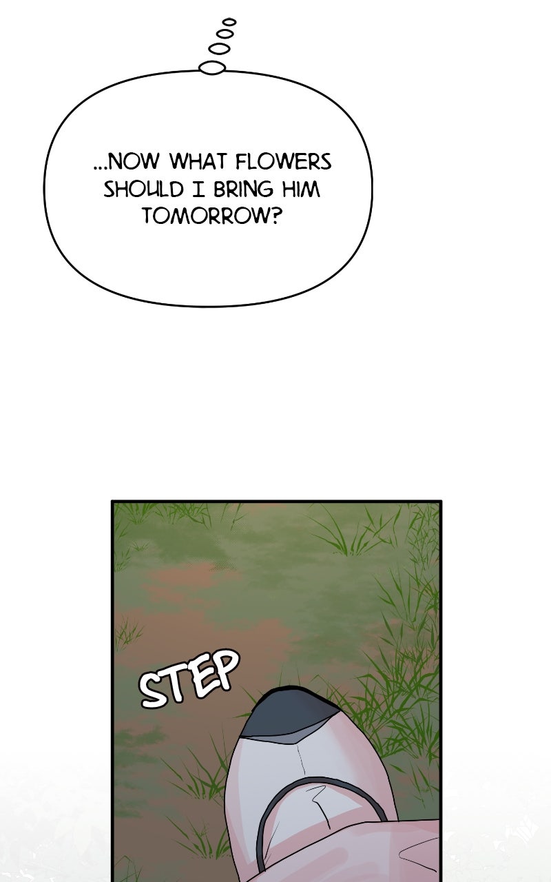 The Tale of a Fox
