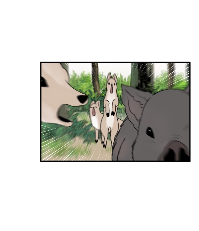 The Tale of a Fox