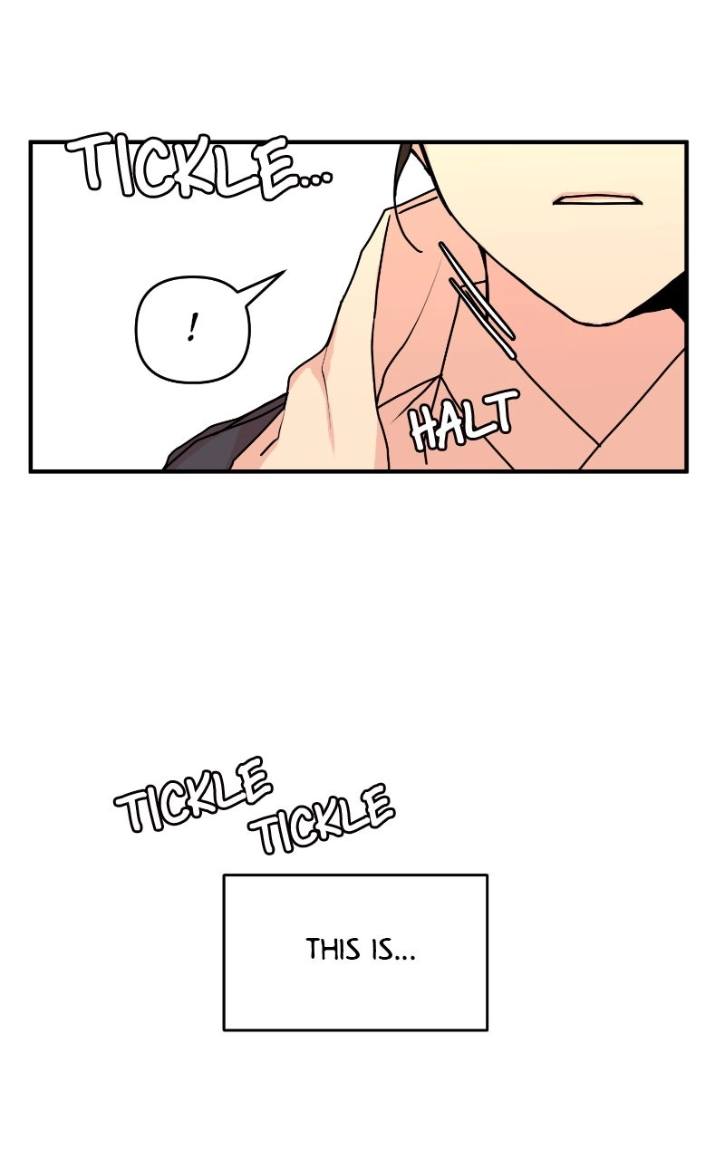 The Tale of a Fox