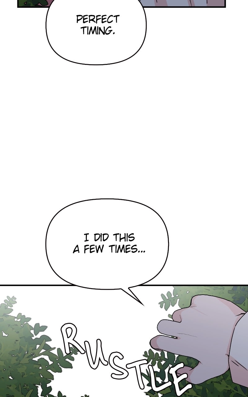 The Tale of a Fox