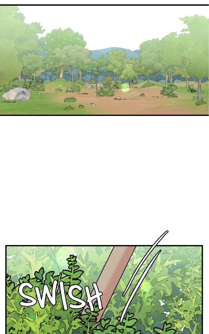 The Tale of a Fox