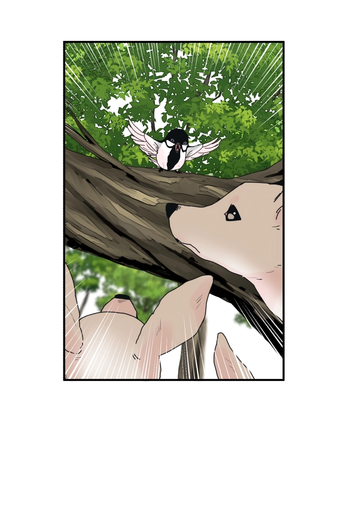 The Tale of a Fox