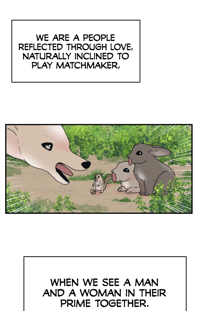 The Tale of a Fox