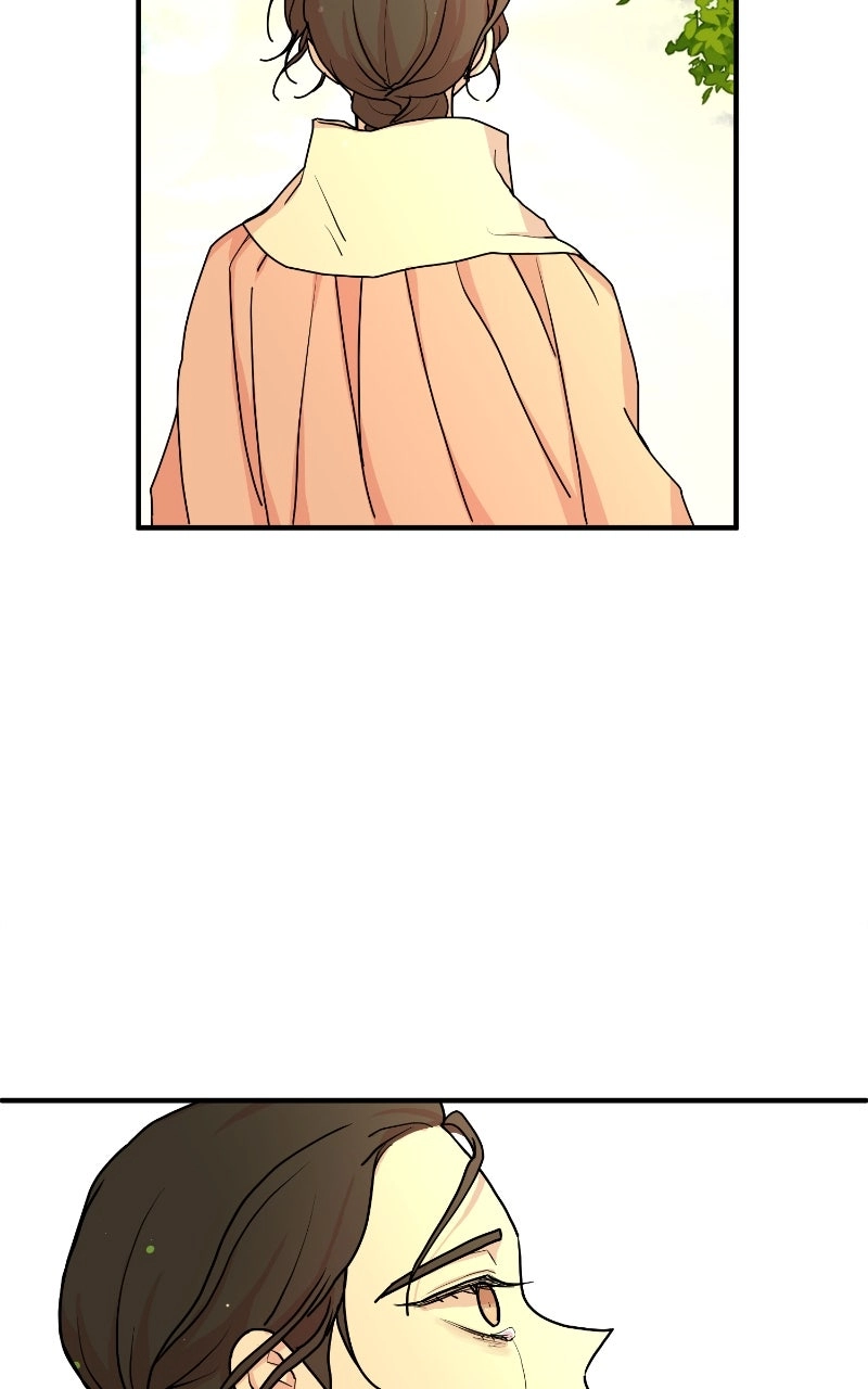 The Tale of a Fox
