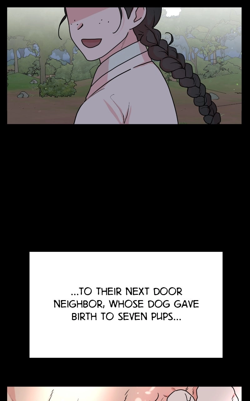 The Tale of a Fox