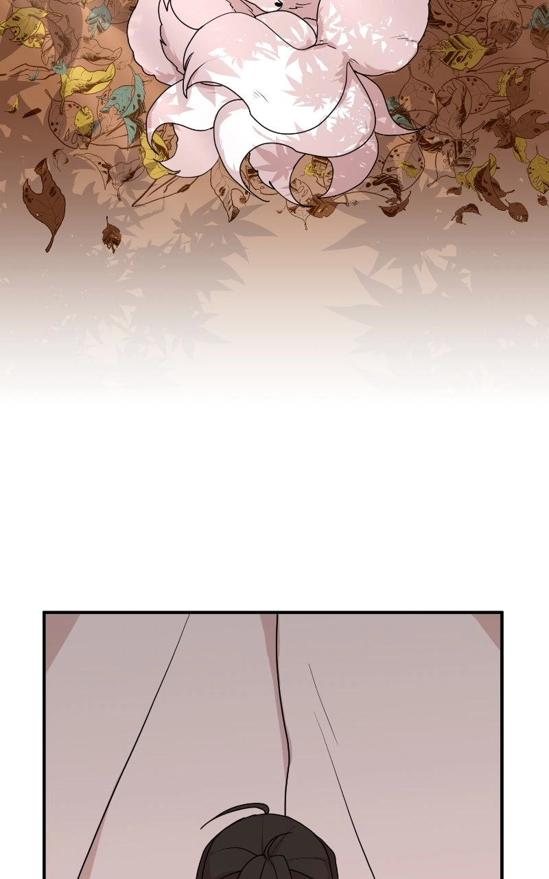 The Tale of a Fox