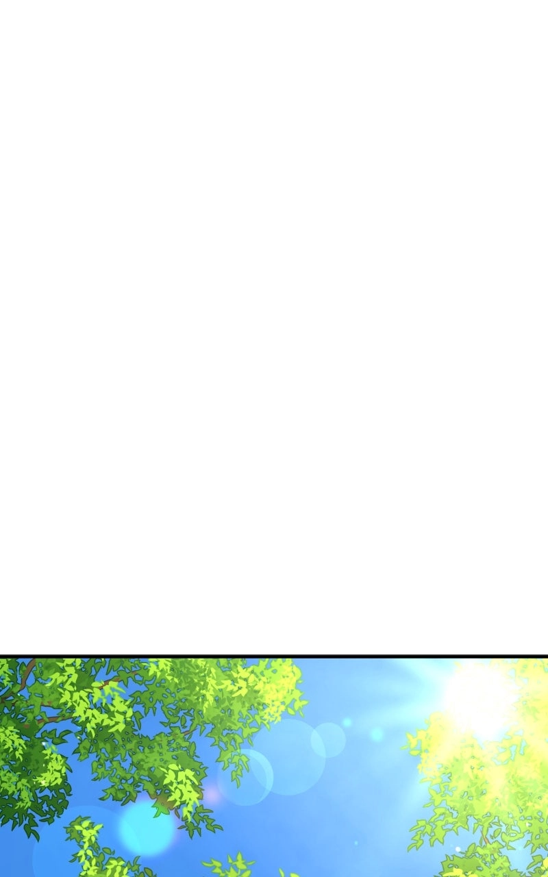 The Tale of a Fox