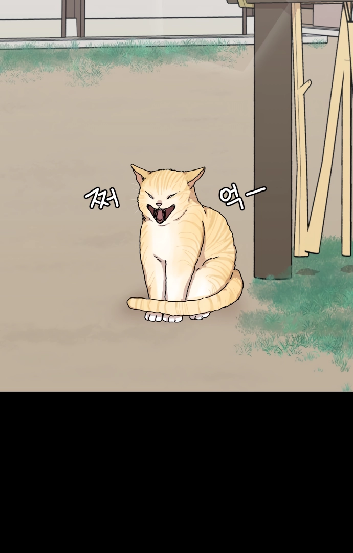 The Tale of a Fox
