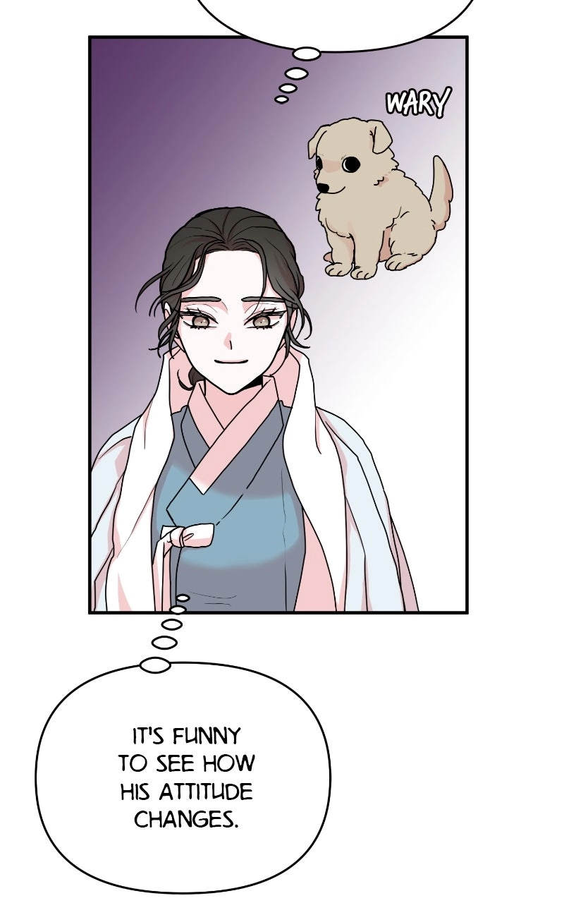 The Tale of a Fox