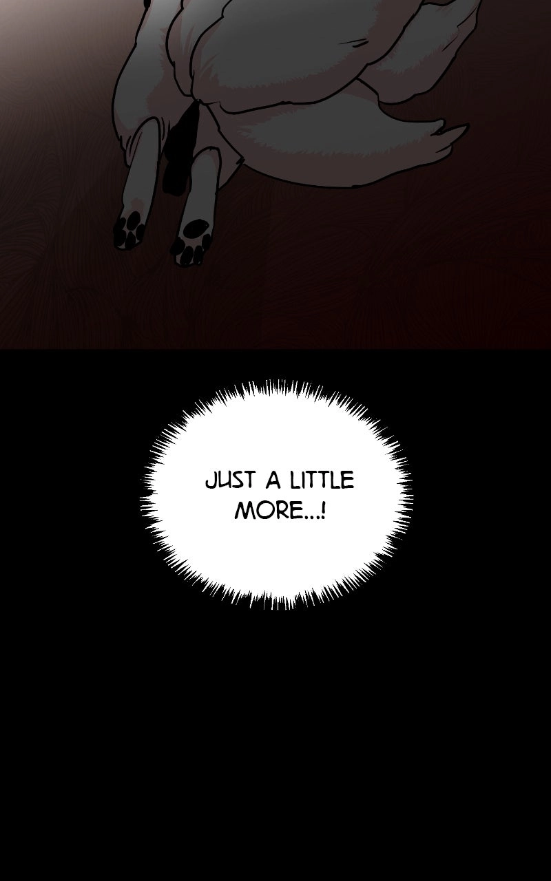 The Tale of a Fox