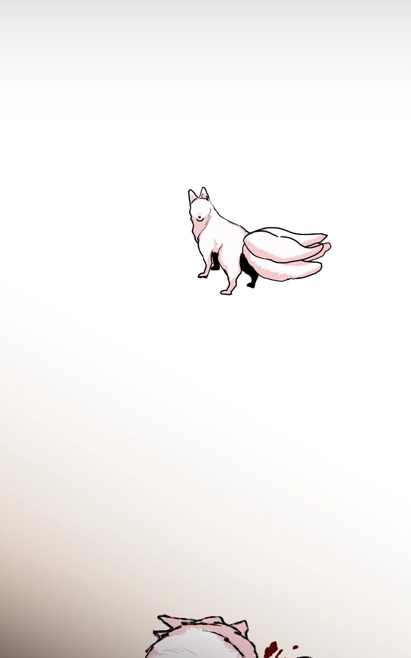 The Tale of a Fox