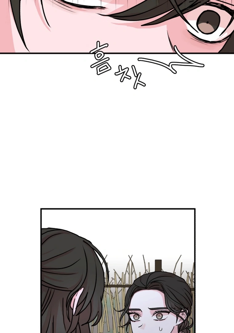 The Tale of a Fox