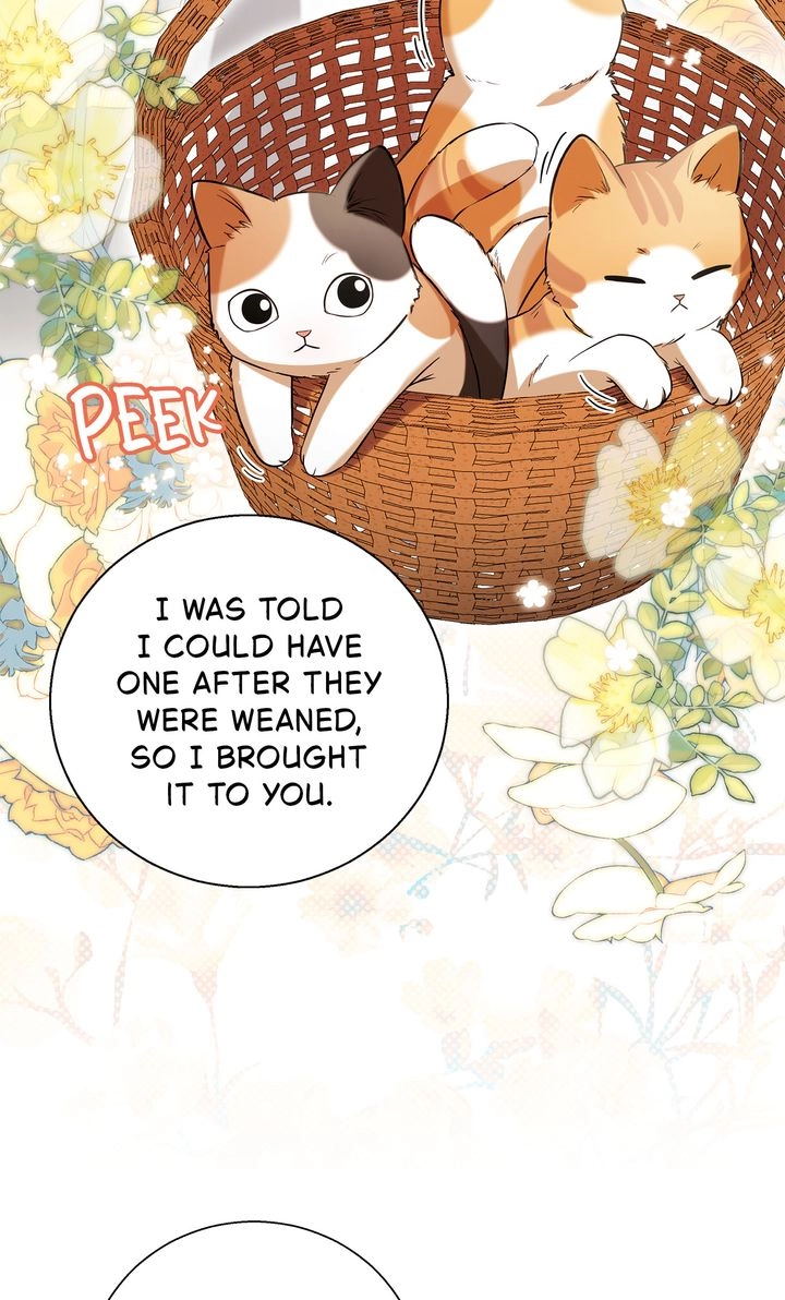 The Taming of the Hellcat Chapter 22 page 25 - 