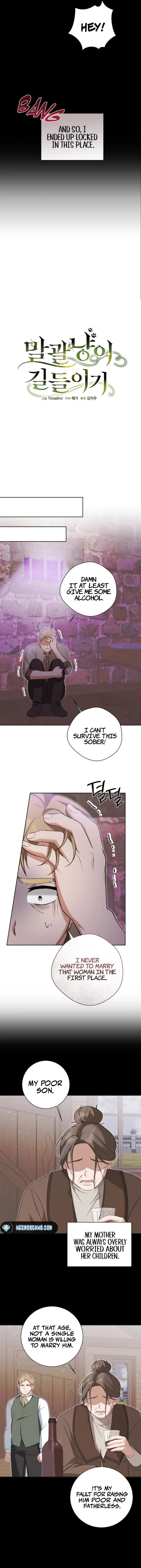 The Taming of the Hellcat Chapter 32 page 6 - 