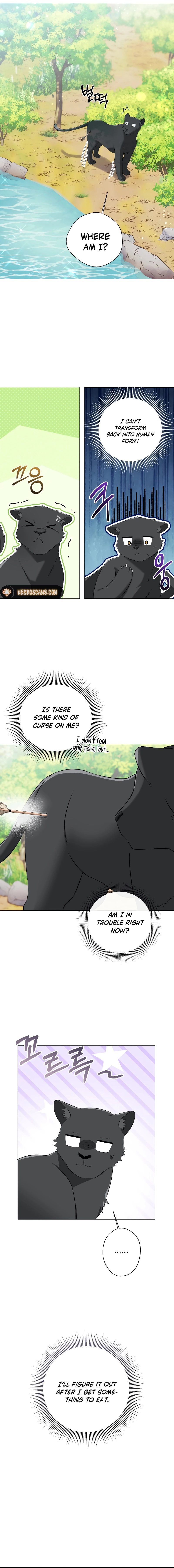 The Taming of the Hellcat Chapter 5 page 17 - 