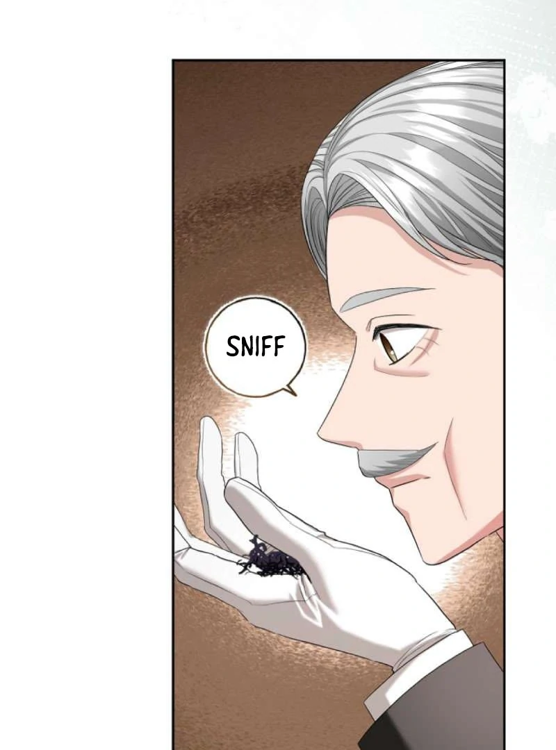 The Terminally Ill Miss Goes Undercover in the Villain’s Household Chapter 11 page 27 - 