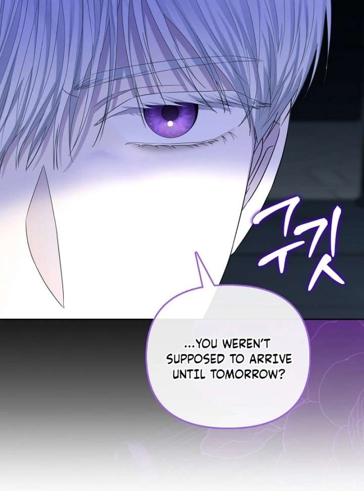 The Terminally Ill Miss Goes Undercover in the Villain’s Household Chapter 26 page 46 - 