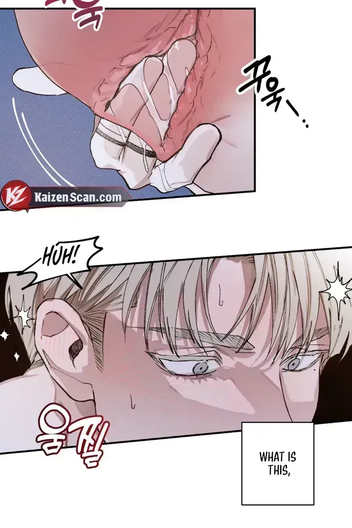 The Third Decade Chapter 5.4 page 46 - 