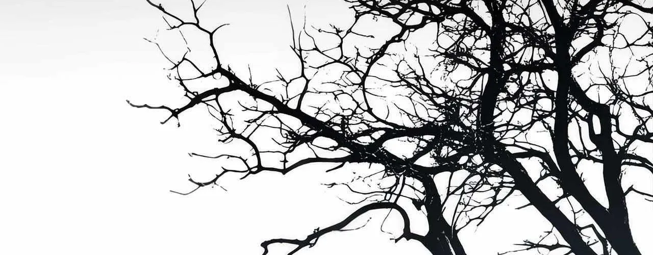 The Thread Never Burned Chapter 15 page 42 - 