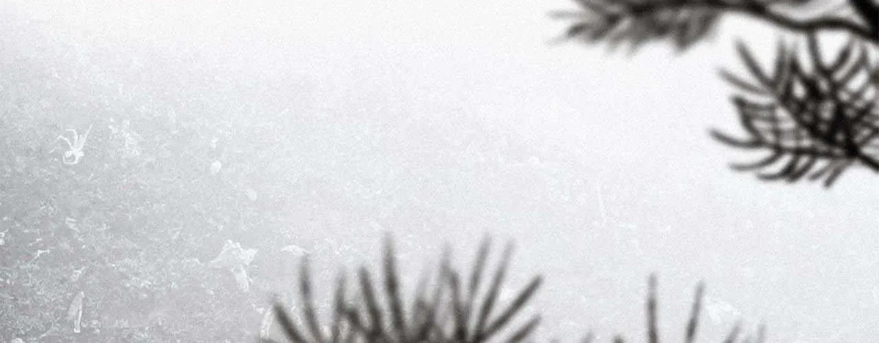 The Thread Never Burned Chapter 15 page 63 - 