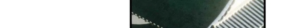 The Thread Never Burned Chapter 6 page 56 - 