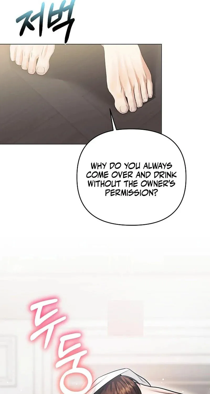 The Thrilling Temptation of a Boyfriend Chapter 1 page 104 - 