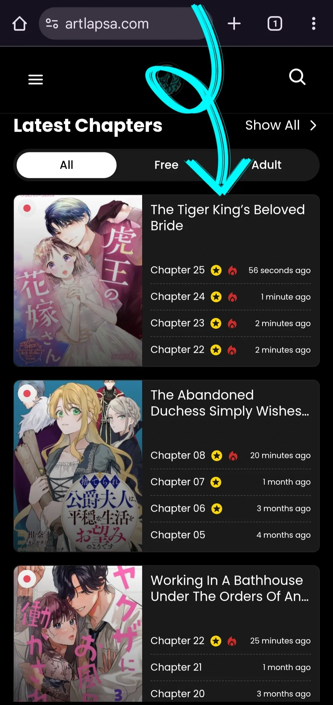 The Tiger King’s Beloved Bride Chapter 13 page 1 - 