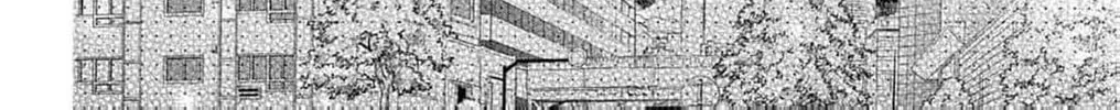 The Tiger King’s Beloved Bride Chapter 14 page 38 - 