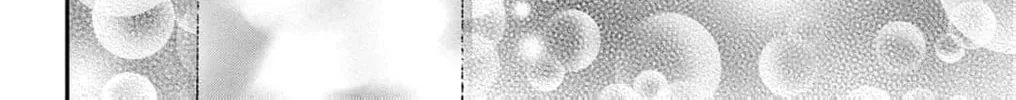The Tiger King’s Beloved Bride Chapter 16 page 82 - 